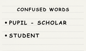 Confused Words - pupil - student - scholar