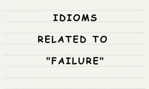 English365plus.com - English Idioms Related to failure