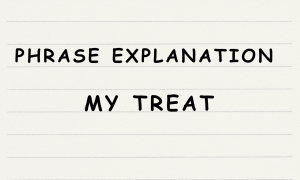 English365plus.com - Phrase Explanation - my treat