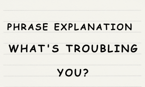 English365plus.com - Phrase Explanation - what's troubling you