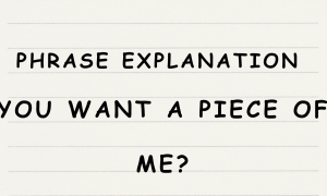 English365plus.com - Phrase Explanation - you want a piece of me